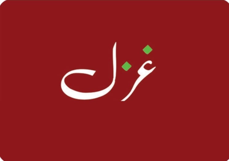 زندگانی جو یہ ہماری ہے