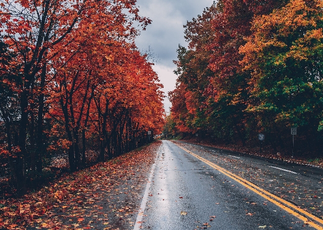 اعتدال: ایک مظلوم اصطلاح