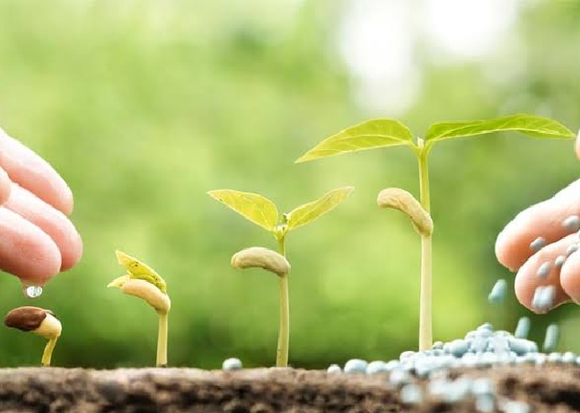 بچوں کی تربیت کیوں اور کیسے